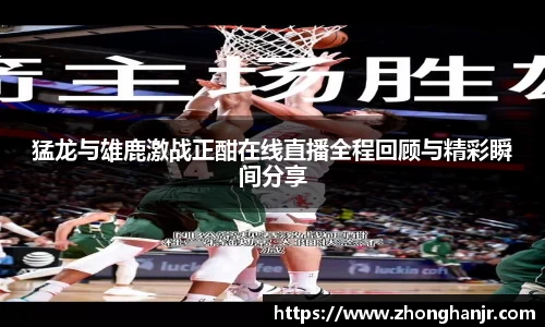 智博19有限公司