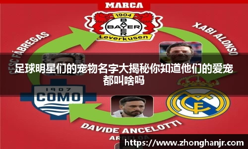 智博19有限公司