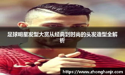 智博19有限公司